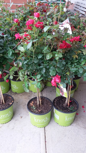 Supermarket «Big Y», reviews and photos, 100 Mayfield St, Worcester, MA 01602, USA