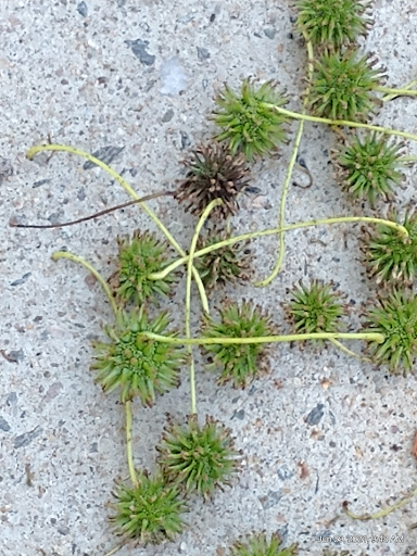 Park «Kennedy Park», reviews and photos, S Main St, Fall River, MA 02724, USA