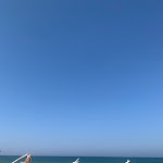 Photo n°3 de l'avis de Delphine.l fait le 22/07/2022 à 13:31 sur le  Guna Beach Club à Punta Penna