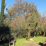 Photo n°2 de l'avis de Giosuè.s fait le 26/12/2019 à 13:16 sur le  Lamione Restaurant and Guesthouse à Torchiara