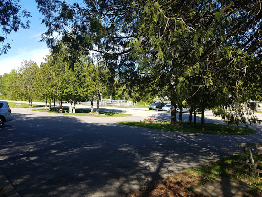 Tourist Attraction «Mystery Spot», reviews and photos, N916 Martin Lake Rd, St Ignace, MI 49781, USA
