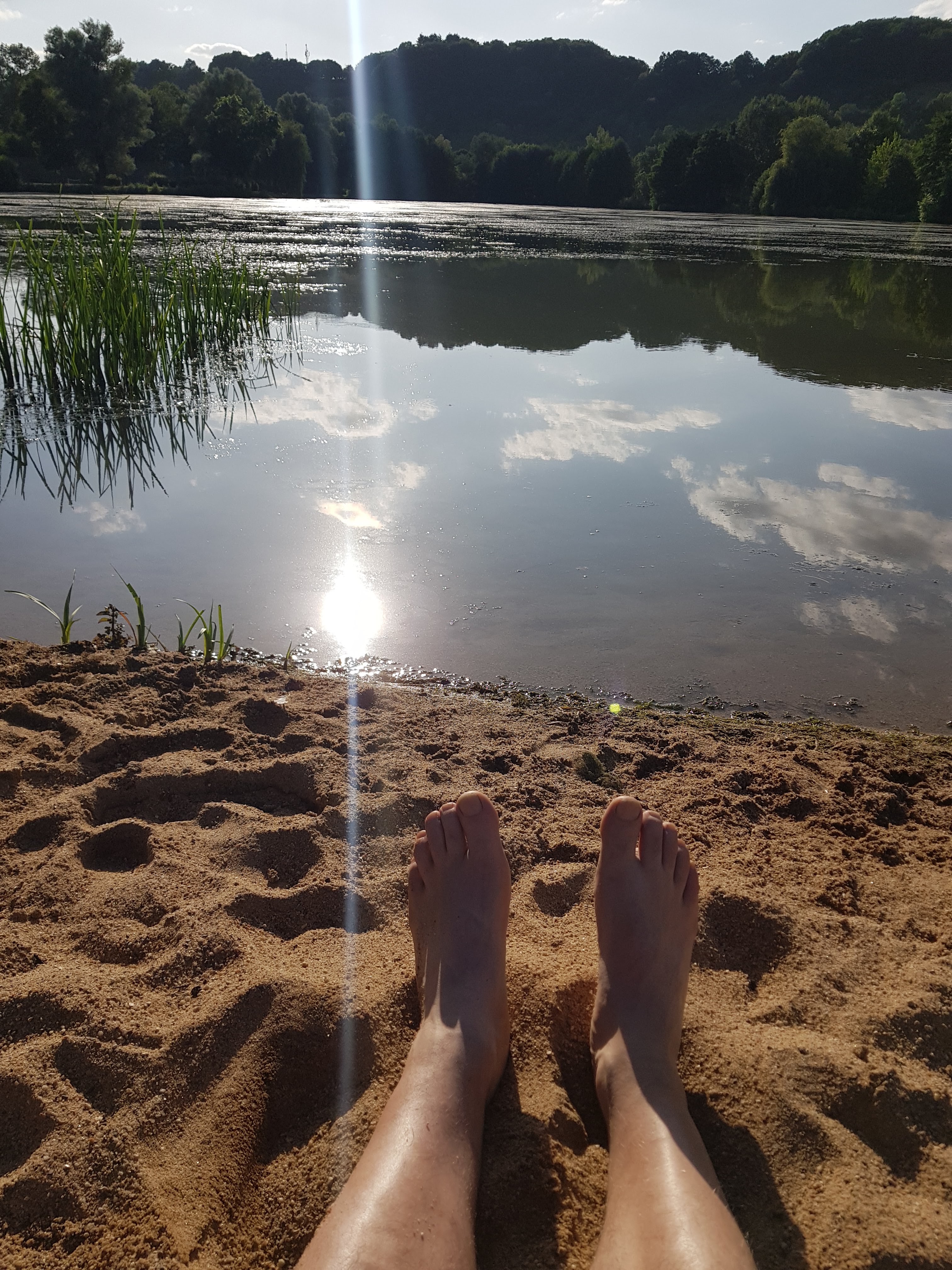 Photo n° 1 de l'avis de Franck.O fait le 22/08/2023 à 08:28