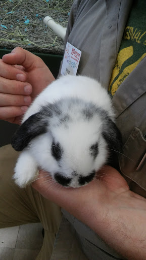 Pet Store «Petland Vineyard - San Antonio», reviews and photos, 1309 North Loop 1604 W #101, San Antonio, TX 78258, USA