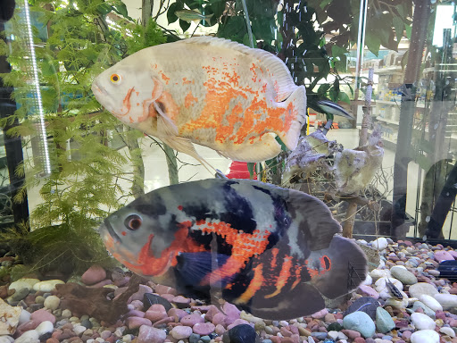 Pet Store «Pet Time», reviews and photos, 3141 W 11th Ave, Eugene, OR 97402, USA