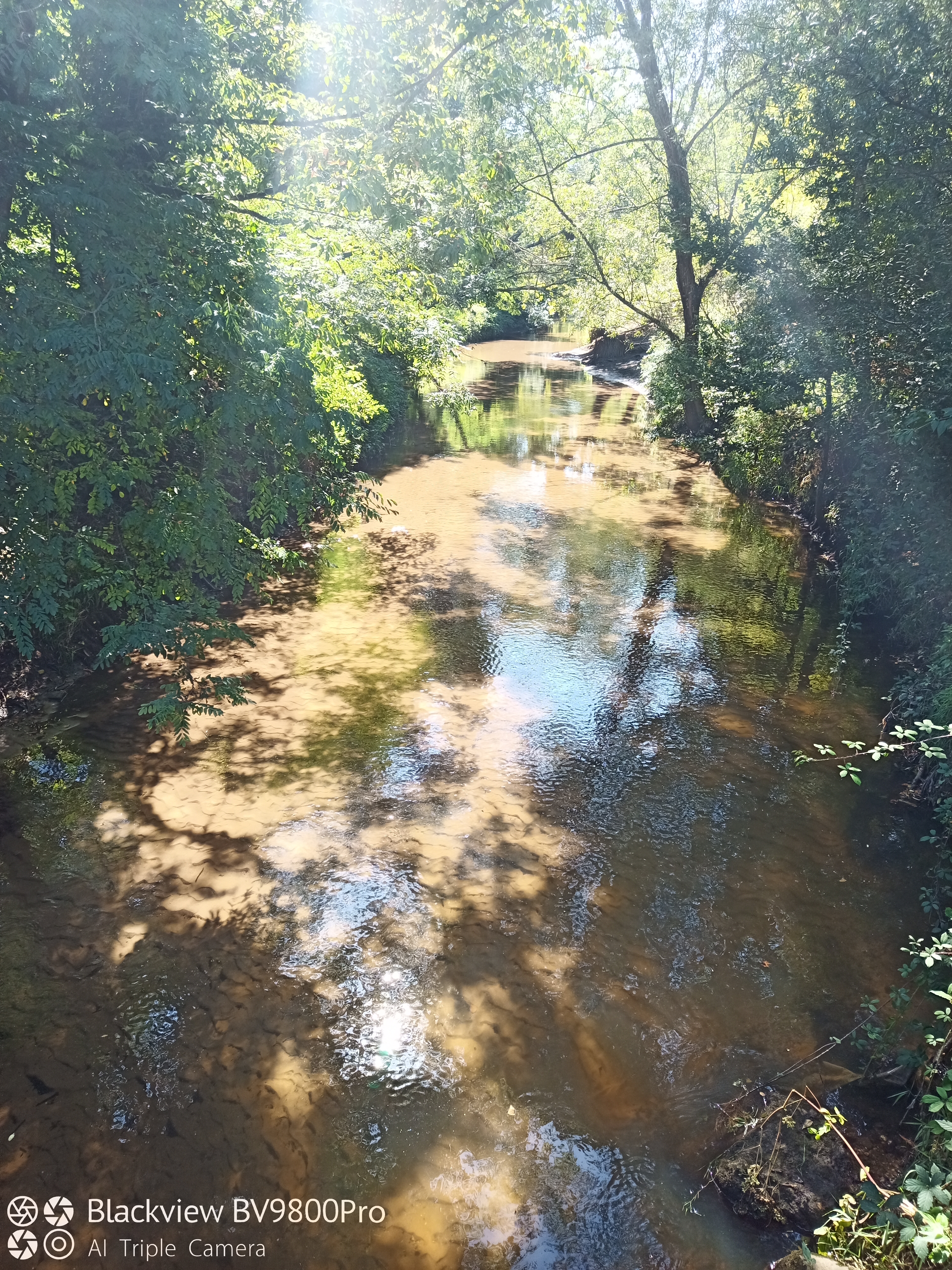 Photo n° 2 de l'avis de Gilles.A fait le 16/09/2021 à 12:47