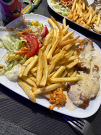 Milanesa du Restaurant halal O’Queens à Mulhouse - n°4