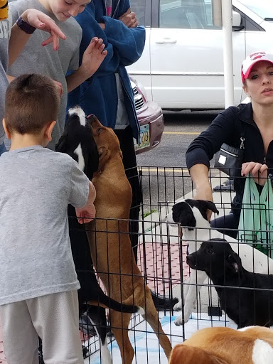 Pet Supply Store «Pet Supplies Plus», reviews and photos, 4326 N Leavitt Rd Suite G, Lorain, OH 44053, USA