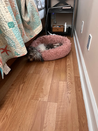 Pet Supply Store «Largo Feed & Garden Supply Inc», reviews and photos, 210 W Bay Dr, Largo, FL 33770, USA