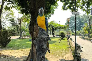 Machia Park image
