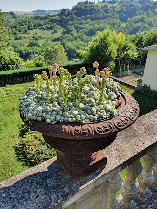 Photos des visiteurs Bed & Breakfast La Corte Delle 4 Stagioni 15039 Ozzano Monferrato