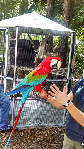 Animal Rescue Service «McCarthys Wildlife Sanctuary», reviews and photos, 12943 61st St N, West Palm Beach, FL 33412, USA