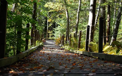 SUNY-ESF Adirondack Interpretive Center image