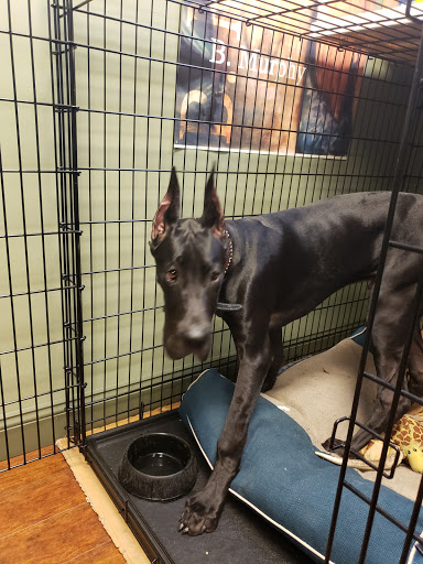 Explore indie tattoo ideas, creative tattoo ideas in East Stroudsburg, available at Third Dimension Tattoo