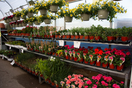 Hardware Store «Scholze Ace Home Center», reviews and photos, 133 County Rd A, Black River Falls, WI 54615, USA