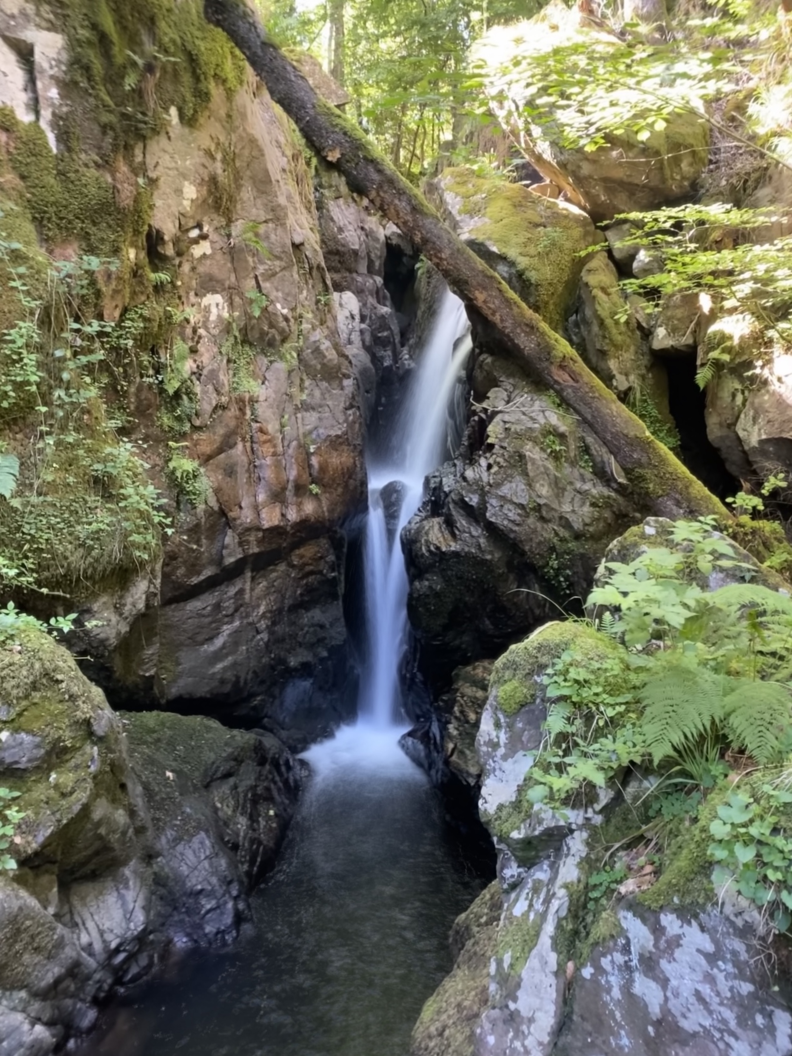 Photo n° 4 de l'avis de Lucas.a fait le 07/07/2020 à 18:35