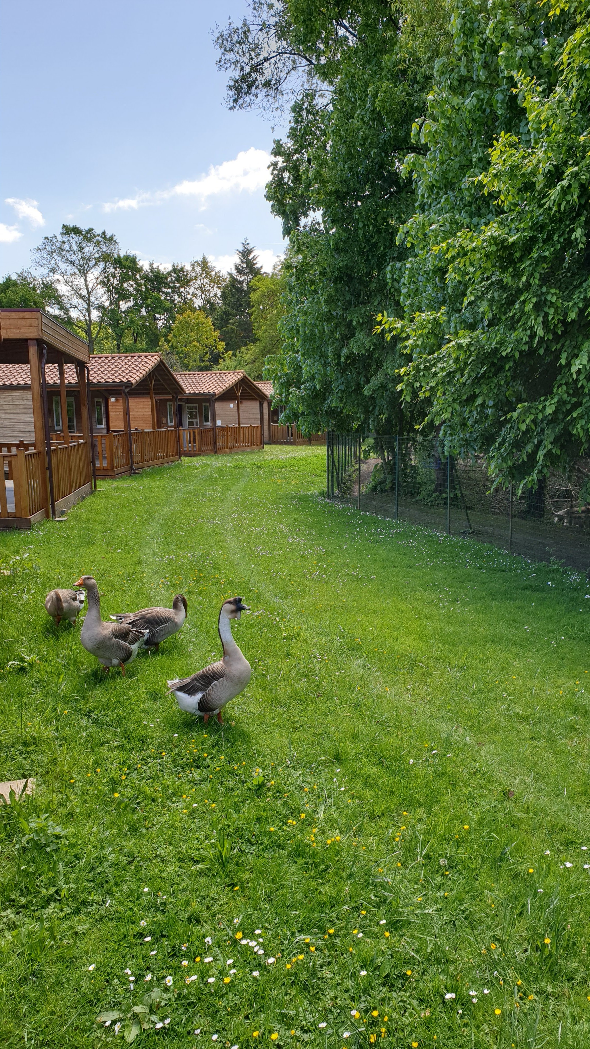 Photo n° 4 de l'avis de Thibault.g fait le 03/05/2019 à 23:18