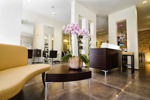 Intercoiffure Studio G In Steyr