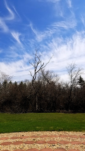 Book Store «Quest Book Shop», reviews and photos, 306 Geneva Rd, Wheaton, IL 60187, USA