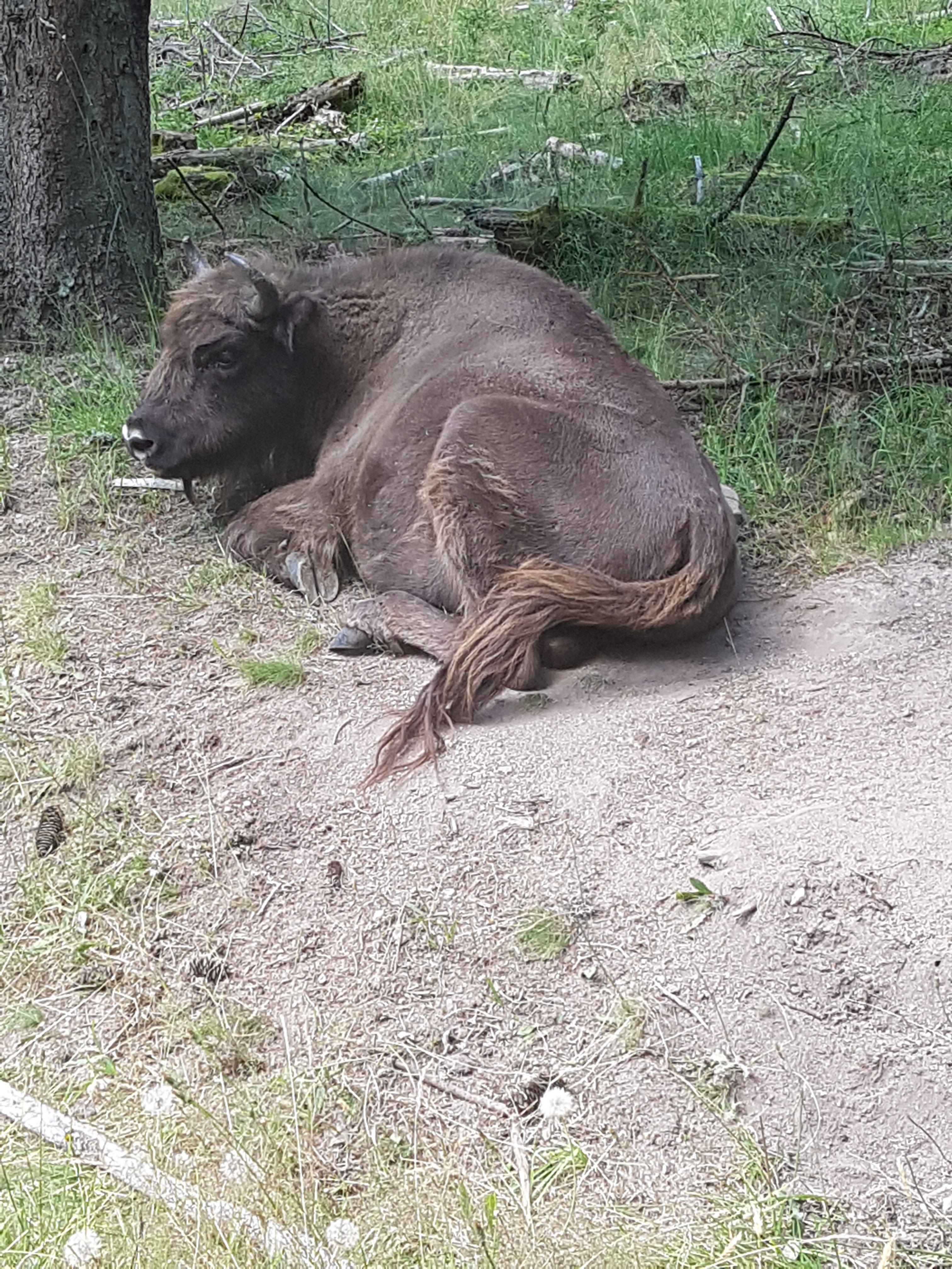 Photo n° 3 de l'avis de Mick.u fait le 26/07/2018 à 19:41