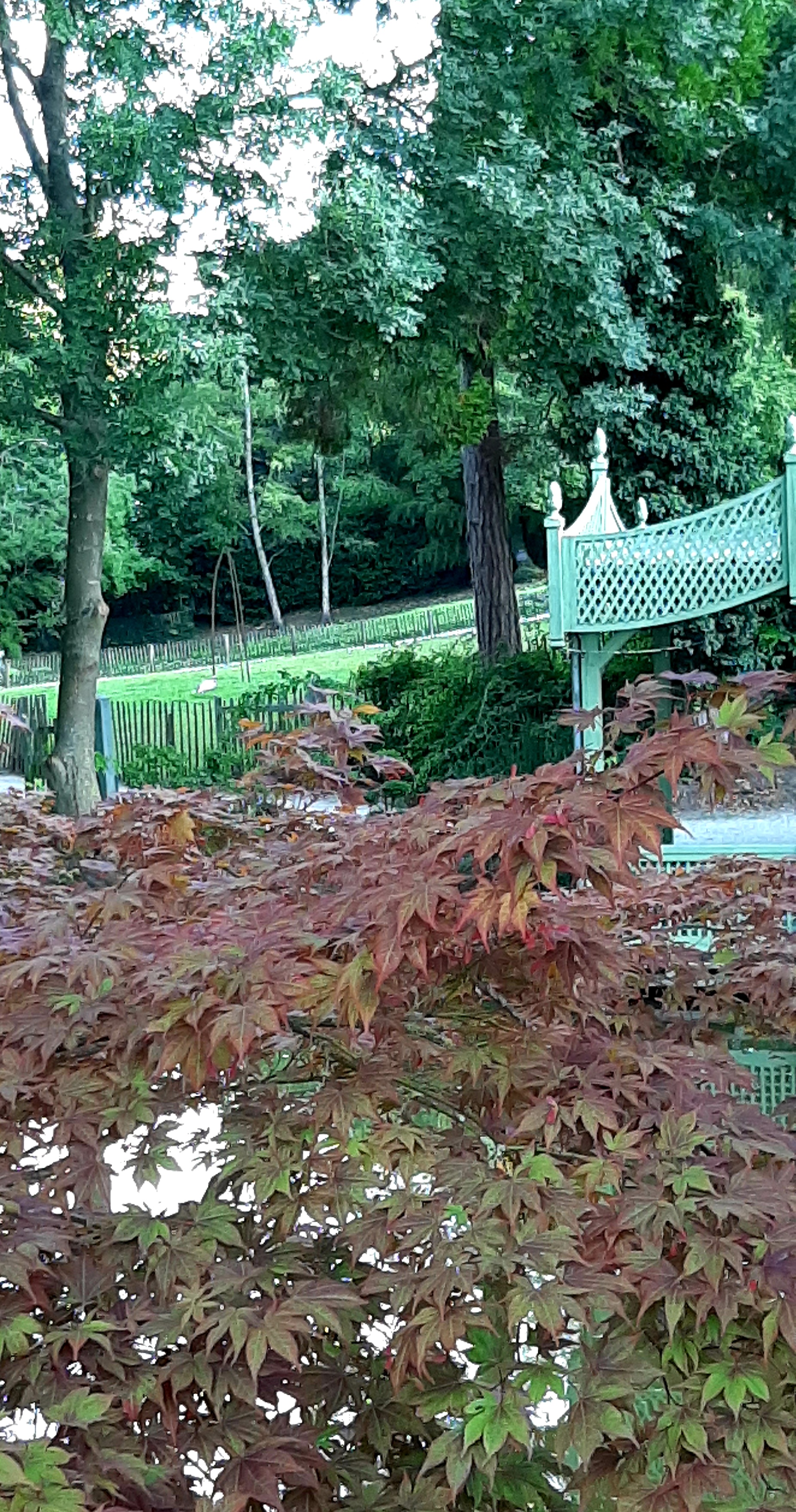 Photo n° 15 de l'avis de Corinne.n fait le 03/09/2023 à 19:04