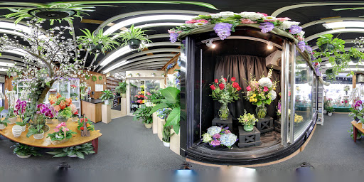 Florist «Blossom Flower Shops», reviews and photos, 275 Mamaroneck Ave, White Plains, NY 10605, USA