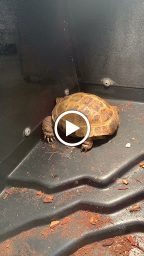 Pet Supply Store «PetSmart», reviews and photos, 20530 E 13 Mile Rd, Roseville, MI 48066, USA