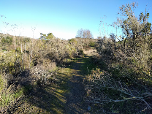 Blue Rock Springs Park image