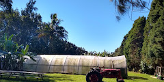 Paradise Meadows Orchard and Bee Farm, Home of Hawaii's Local Buzz