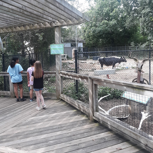Zoo «Miller Park Zoo», reviews and photos, 1020 S Morris Ave