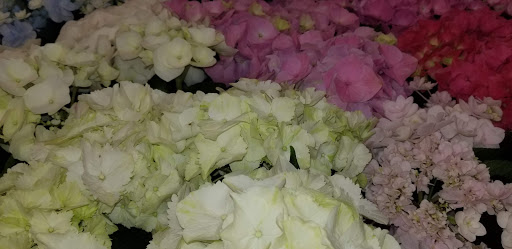 Coffee Shop «Starbucks», reviews and photos, 406 N Main St, Sebastopol, CA 95472, USA