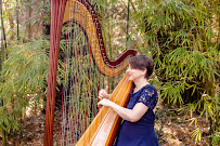 Harpist Elizabeth Louise - Photo 6 - Car repair in , Deltona