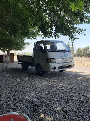 transportes muñoz rosales - Servicio de transporte