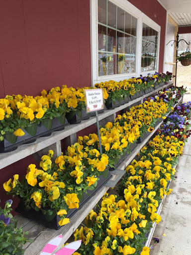 Florist «Freshwater Farms», reviews and photos, 1 Kipkam Rd, Atkinson, NH 03811, USA