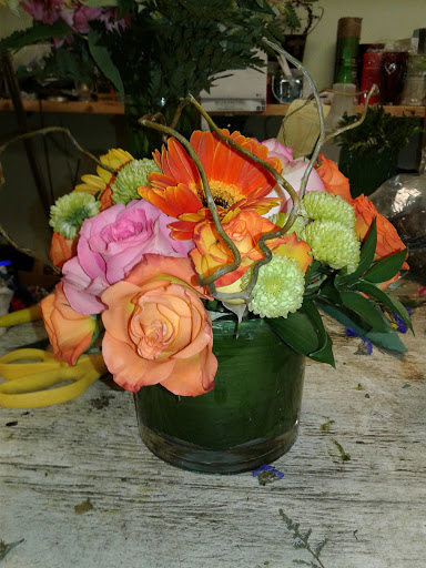 Florist «Bella Blooms Florist», reviews and photos, 6521 AL-69, Tuscaloosa, AL 35405, USA
