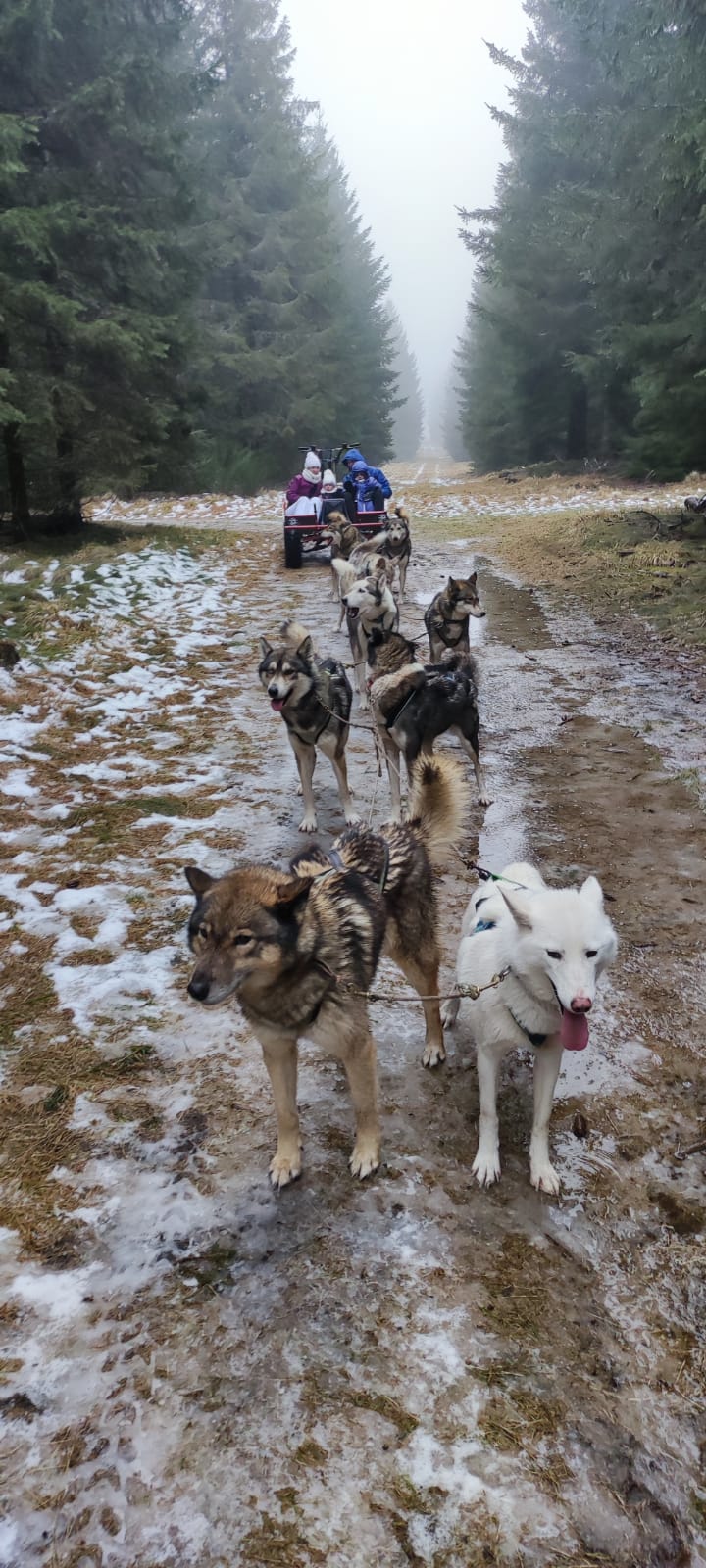Photo n° 2 de l'avis de Max.e fait le 28/01/2024 à 21:13
