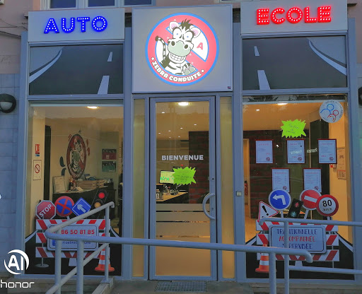 Zébra Conduite à Neuves-Maisons, Meurthe-et-Moselle