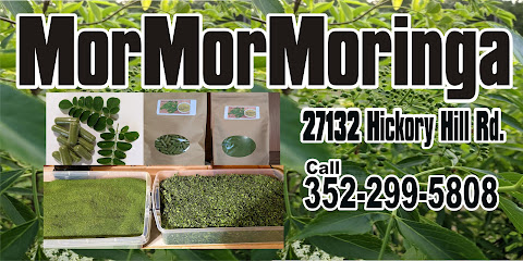 Mormormoringa LLC