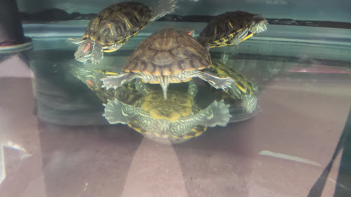 Pet Supply Store «Petco Animal Supplies», reviews and photos, 6418 S Staples St b, Corpus Christi, TX 78413, USA