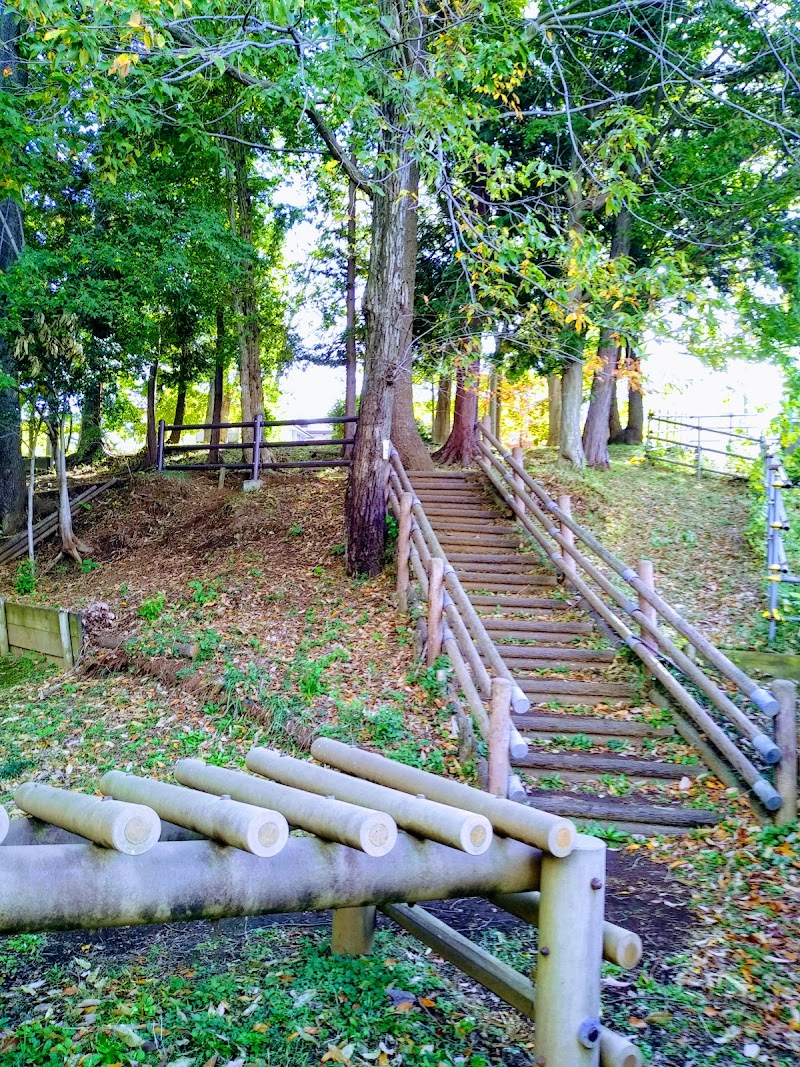 緑の散歩道 関沢 埼玉県富士見市関沢 公園 グルコミ