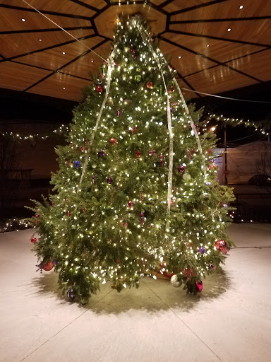 Performing Arts Theater «Cape May Stage», reviews and photos, 405 Lafayette St, Cape May, NJ 08204, USA