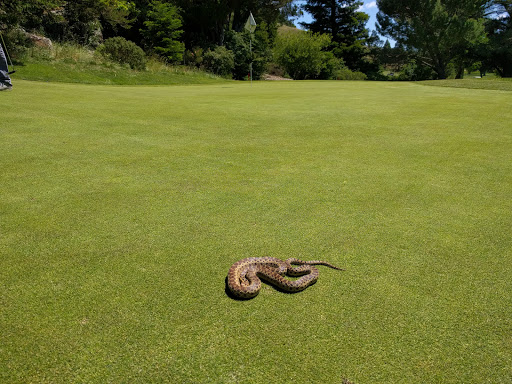 Golf Club «San Geronimo National Golf Course», reviews and photos, 5800 Sir Francis Drake Blvd, San Geronimo, CA 94963, USA