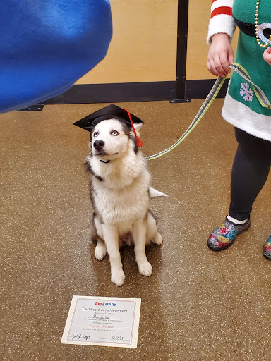 Pet Supply Store «PetSmart», reviews and photos, 4429 Pecanland Mall Dr, Monroe, LA 71203, USA