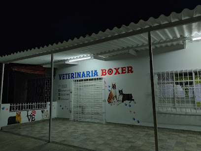 Veterinaria Boxer