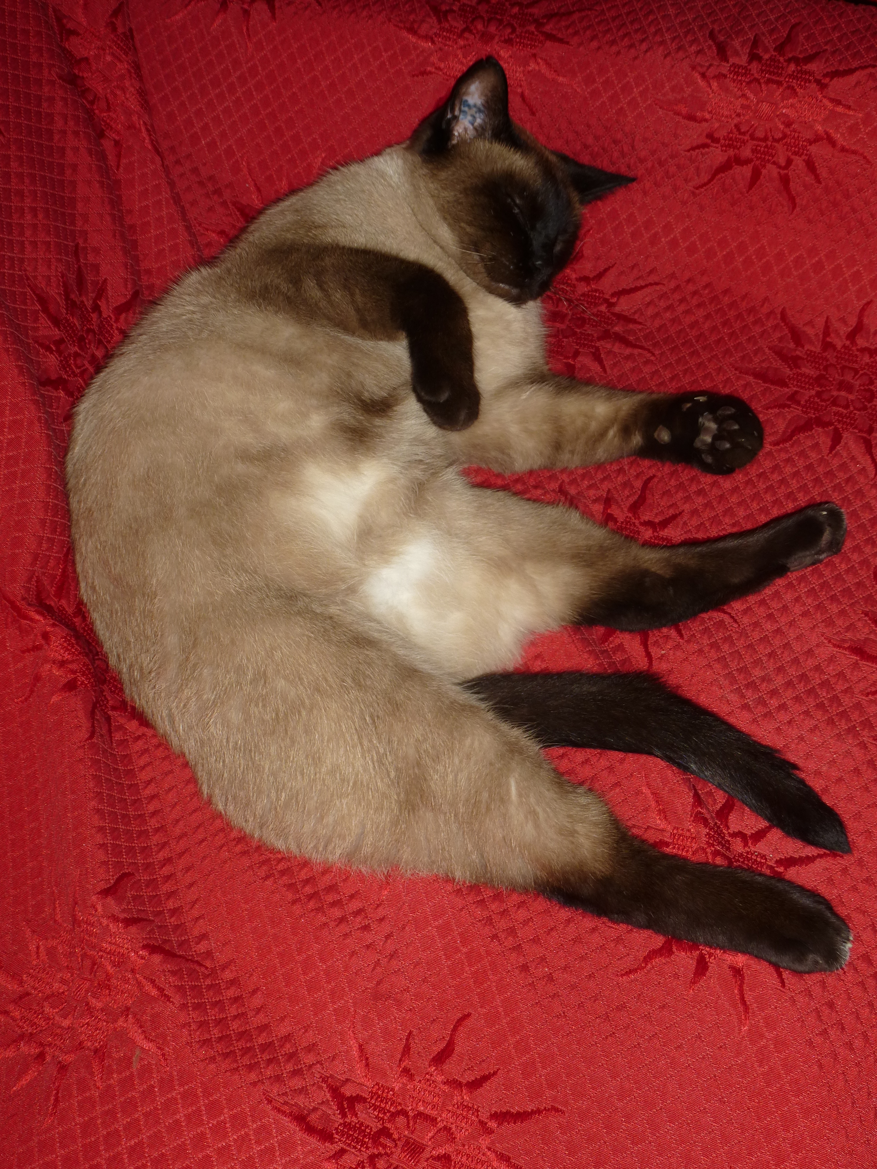 Photo n° 2 de l'avis de Anne.a fait le 22/05/2020 à 21:15