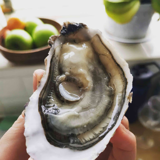 The Bristol Oyster Co: Live Oysters & Mussels delivered in Bristol every Friday