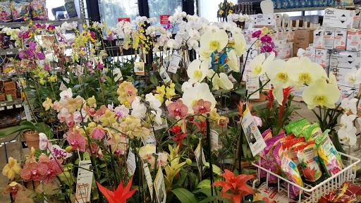 Home Improvement Store «The Home Depot», reviews and photos, 2508 Skyline Blvd, Cape Coral, FL 33914, USA