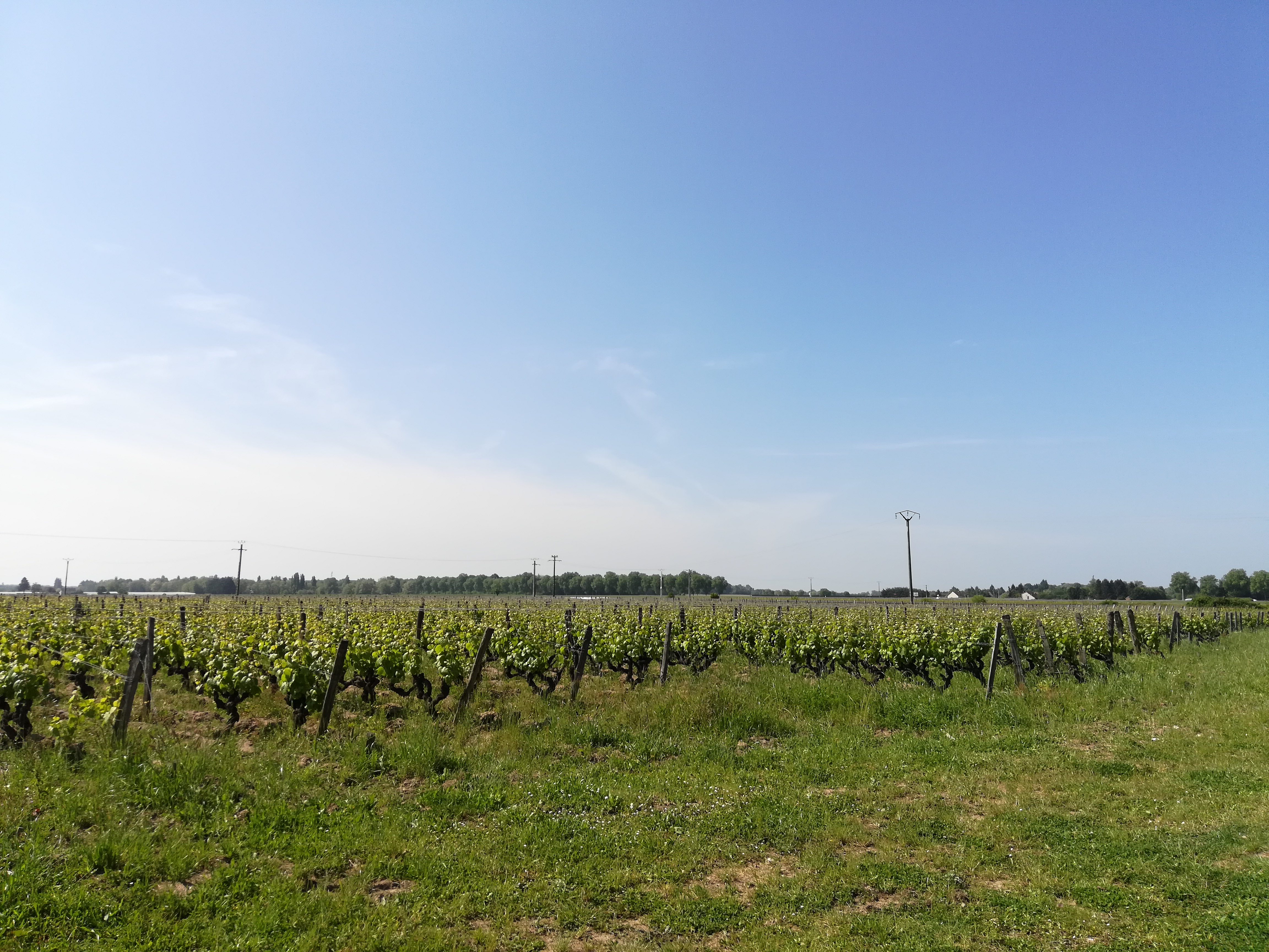Photo n° 1 de l'avis de Paulo.a fait le 19/05/2018 à 19:27