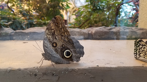 Science Museum «Connecticut Science Center», reviews and photos, 250 Columbus Blvd, Hartford, CT 06103, USA