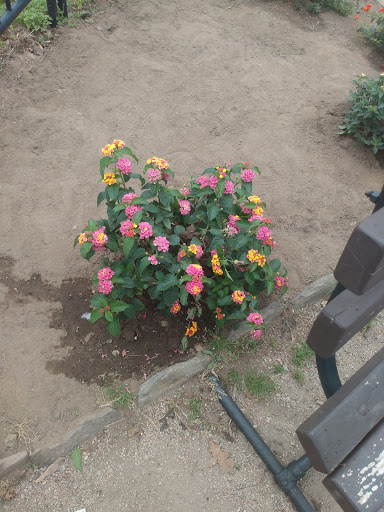 State Park «Gillette Castle State Park», reviews and photos, 67 River Rd, East Haddam, CT 06423, USA