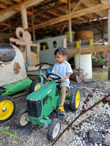 Tourist Attraction «Mitcham Farm», reviews and photos, 797 W Macedonia Church Rd, Oxford, GA 30054, USA